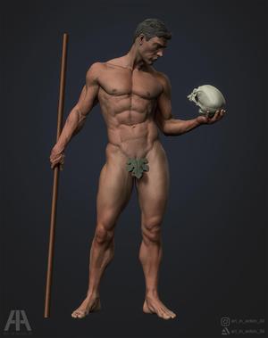 Male anatomy