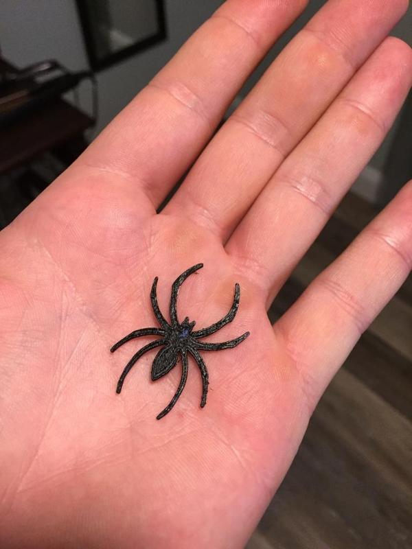 Halloween Web spyder