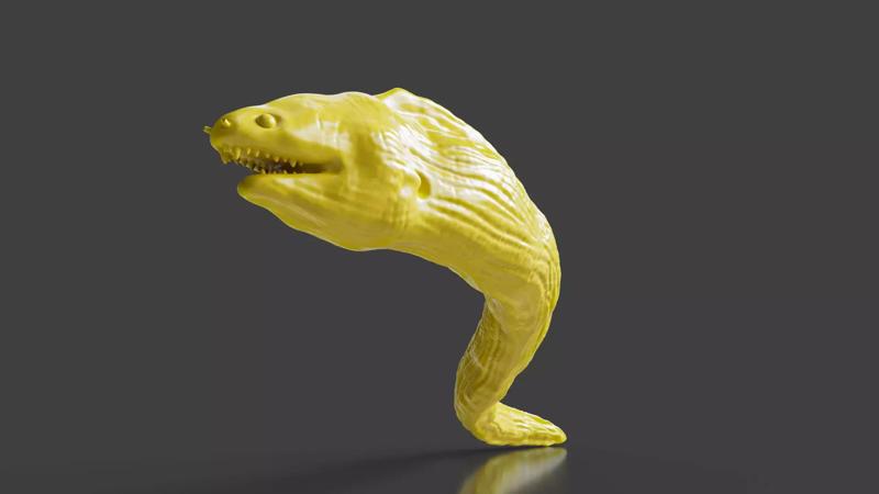 Wild Life Series Moray Eel STL Toy