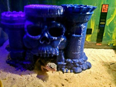 Castle Grayskull critter hide with removable top