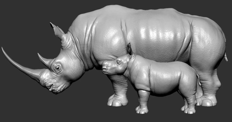 Rhino rhinoceros