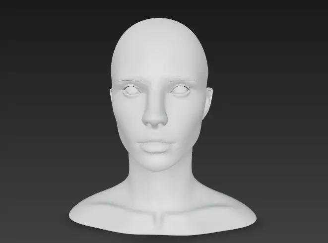Realistic Female Head  Bust