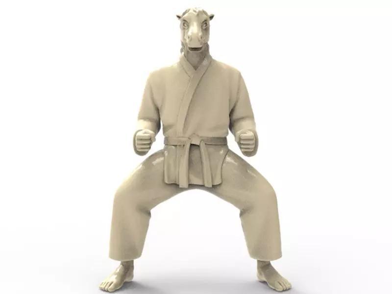 Horse Kiba Dachi Stance
