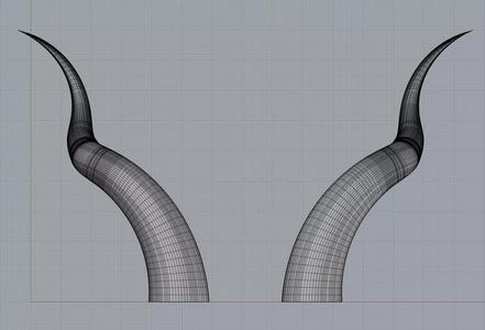 Horns01 pair of horns
