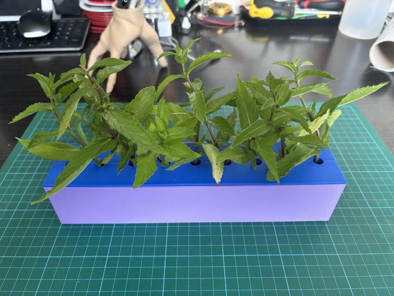 Cuttings Holder
