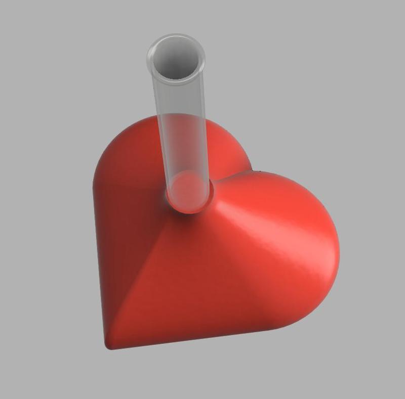 Heart Vase - Test tube