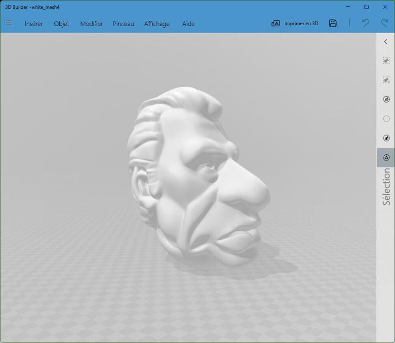 head Johnny Hallyday