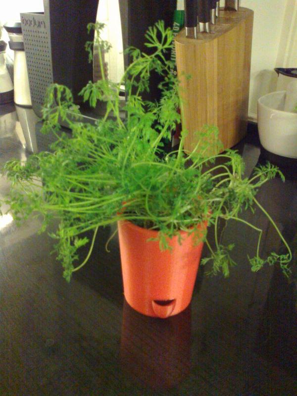 Potted plant holder with water level indicator