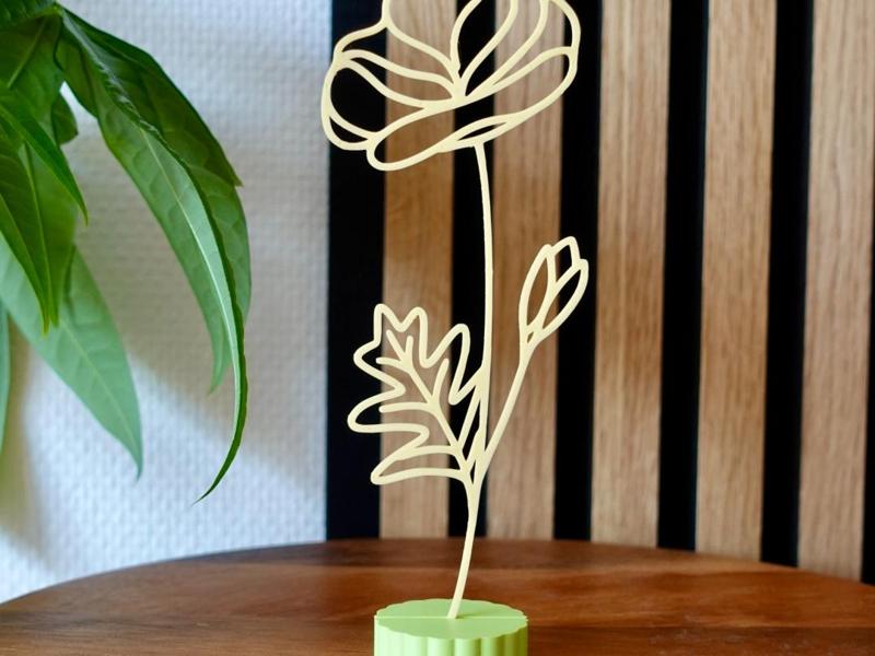 August birth flower - Poppy