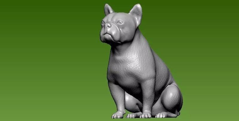 Bulldog french model - 3D print