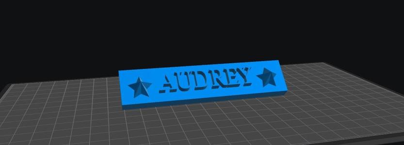 Audrey Nameplate