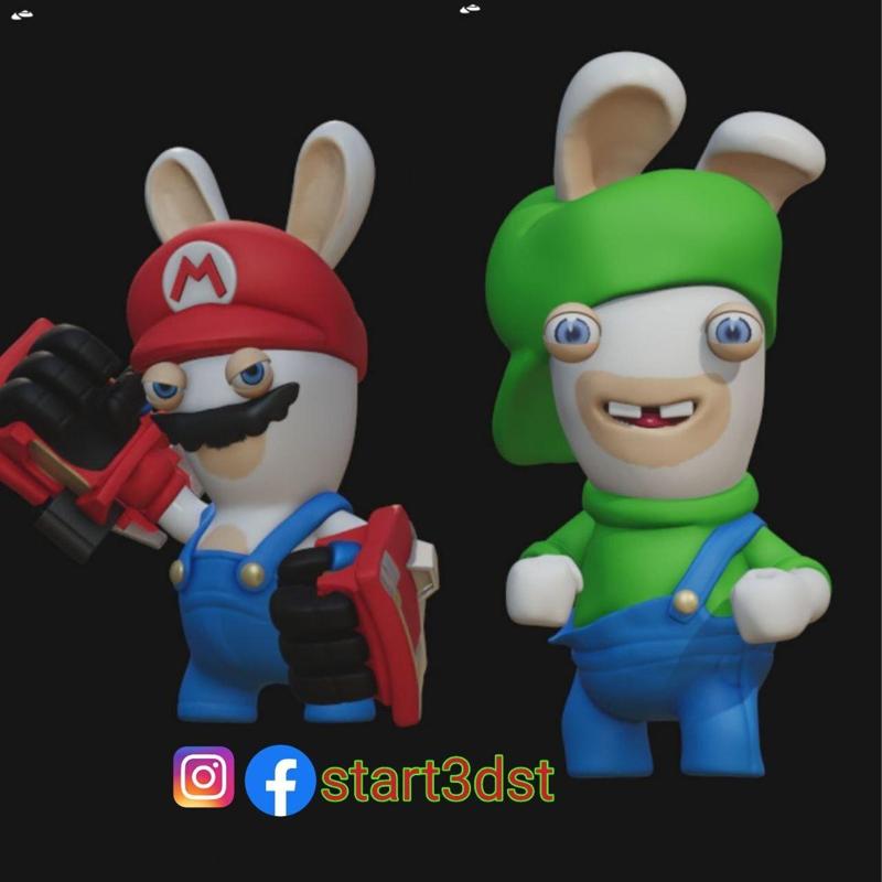 Rabbids mario and luigi fan made