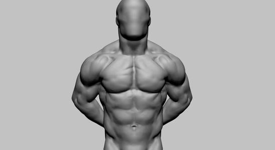 Male Torso Printable v2