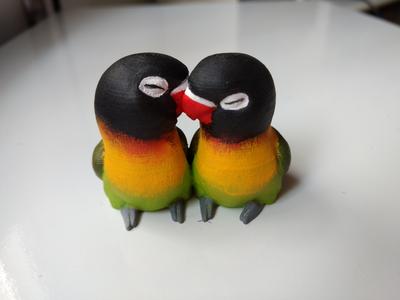 Love Birds