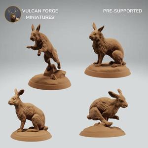 Rabbit Hare Running, Jumping and Sitting Bundle