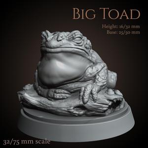 Big toad