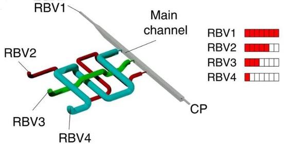 Monolithic 3D printed microfluidic chip with embedded conduits with circular cross-sections
