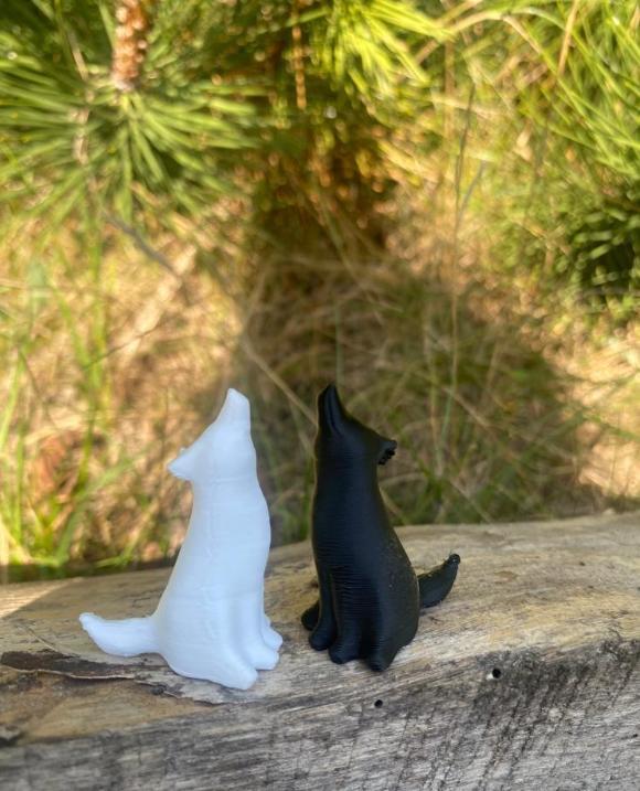 wolf howl on the moon