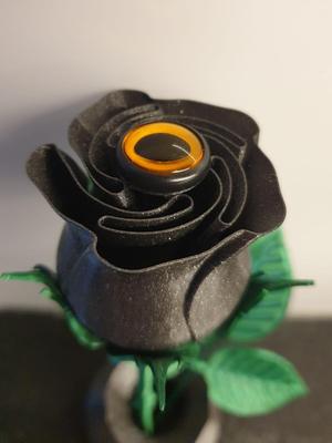 Halloween Rose with Eye