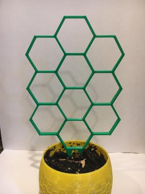 Hexagon House Plant Support