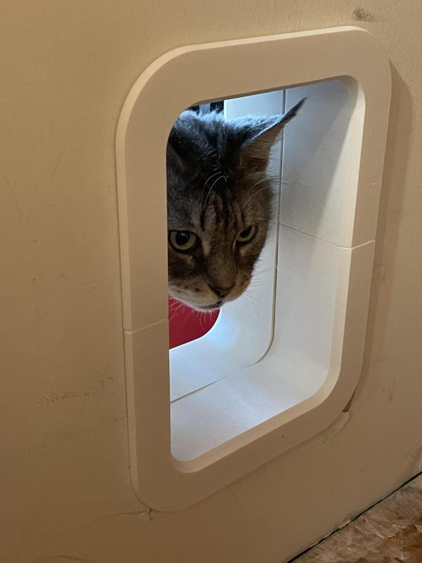 Cat Passage for Tall Cats