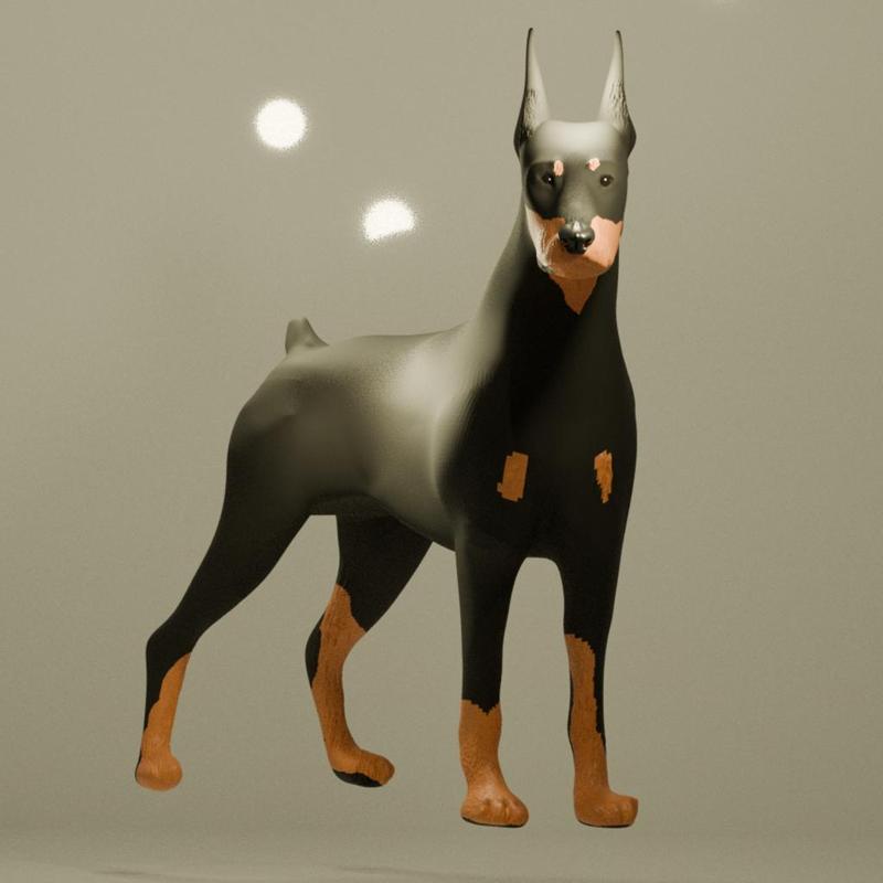 A Dobermann Dog 