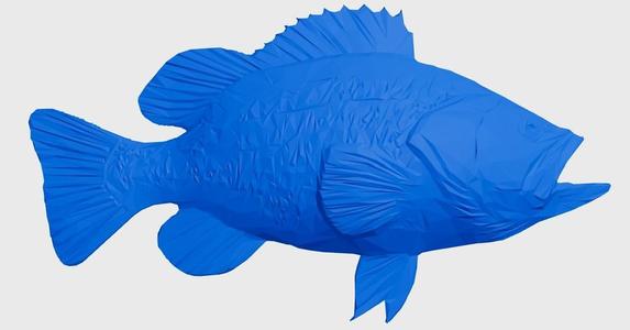 Largemouth Bass 3D Relief