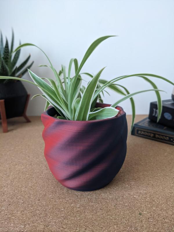 Small Modern Twisted Succulent Planter