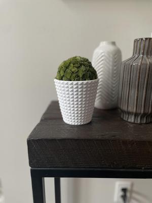 SpikeyPlanter