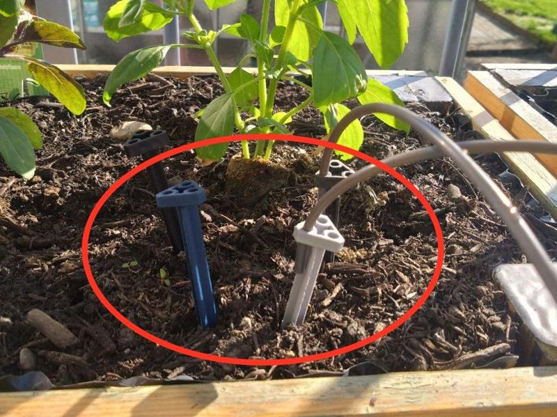 Balcony Watering System Drip Pin