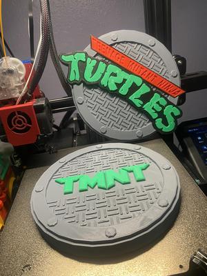 Teenage Mutant Ninja Turtles Manhole No AMS