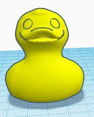duck