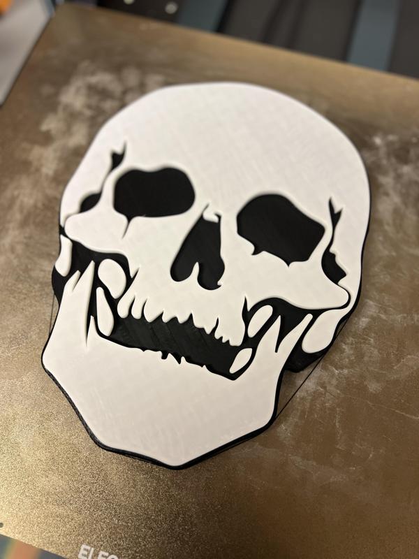 Skull for the Wall