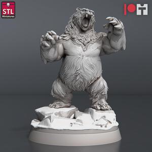 Bear C