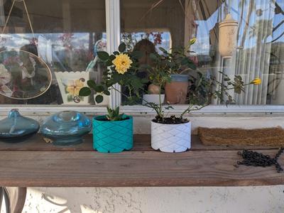 Flower Pot (4,6, and 8 inch)