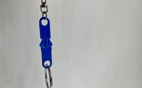 Strong printeable snap clip for key ring