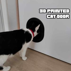 Cat Door