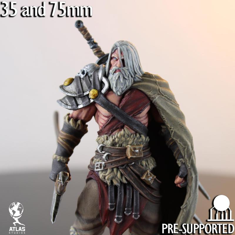 Barbarian Fighter Warrior Two Swords Axe