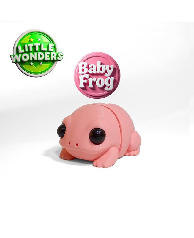 Baby Frog