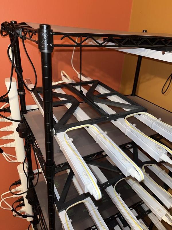 Germination Grow List Holder