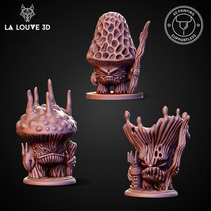 Bundle Warrior mushrooms