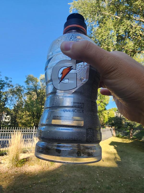 Gatorade Wasp Trap