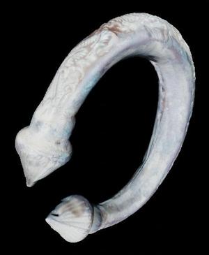 [73.3] - Lắc tay - Khơ me