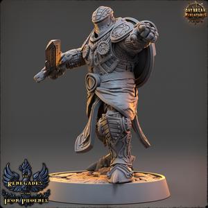 Chevalier Etienne du Bouclier- The Renegades of the Iron Phoenix