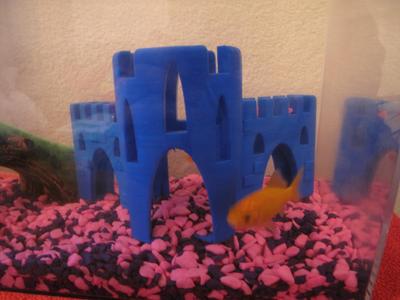 Fish castle