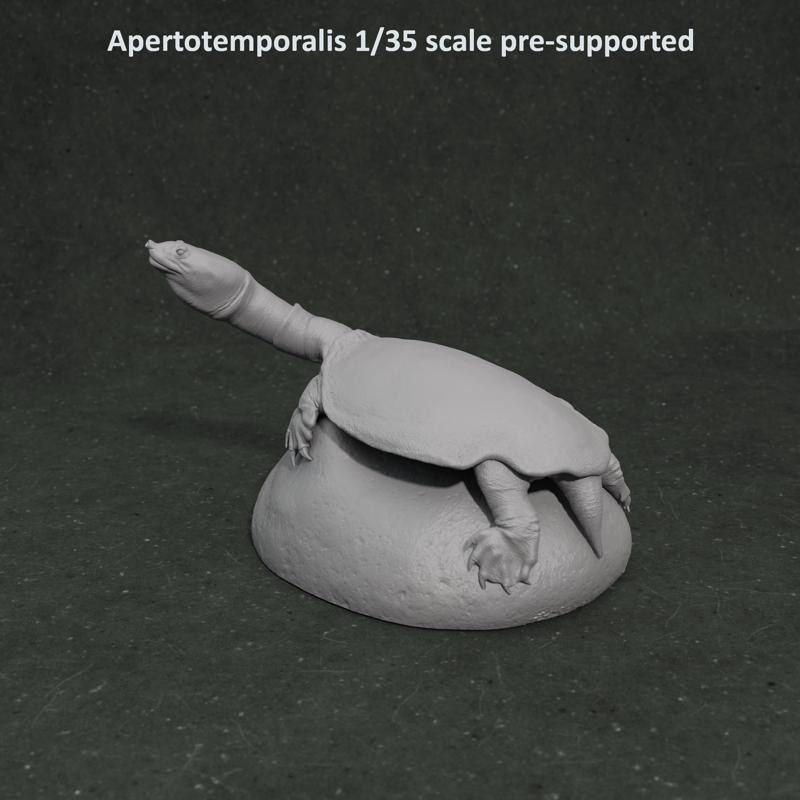 Apertotemporalis on rock 1-35 scale pre-supported prehistoric turtle