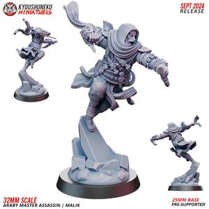 Araby Master Assassin | Malik