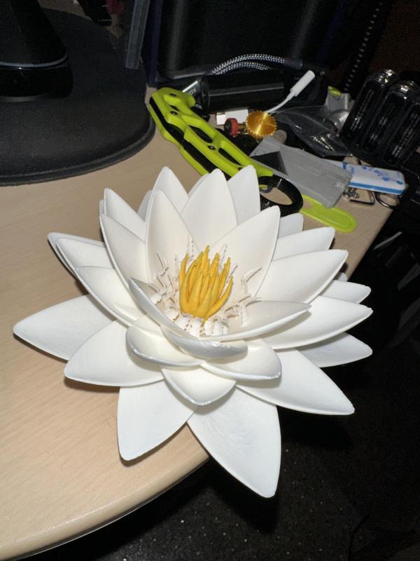 Lotus flower