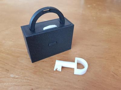 Tricklock puzzle