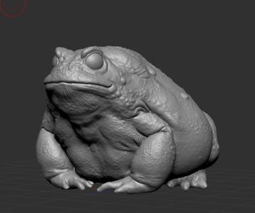 Toad Sculpture